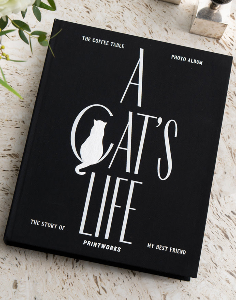 Photo Album - A Cat's Life