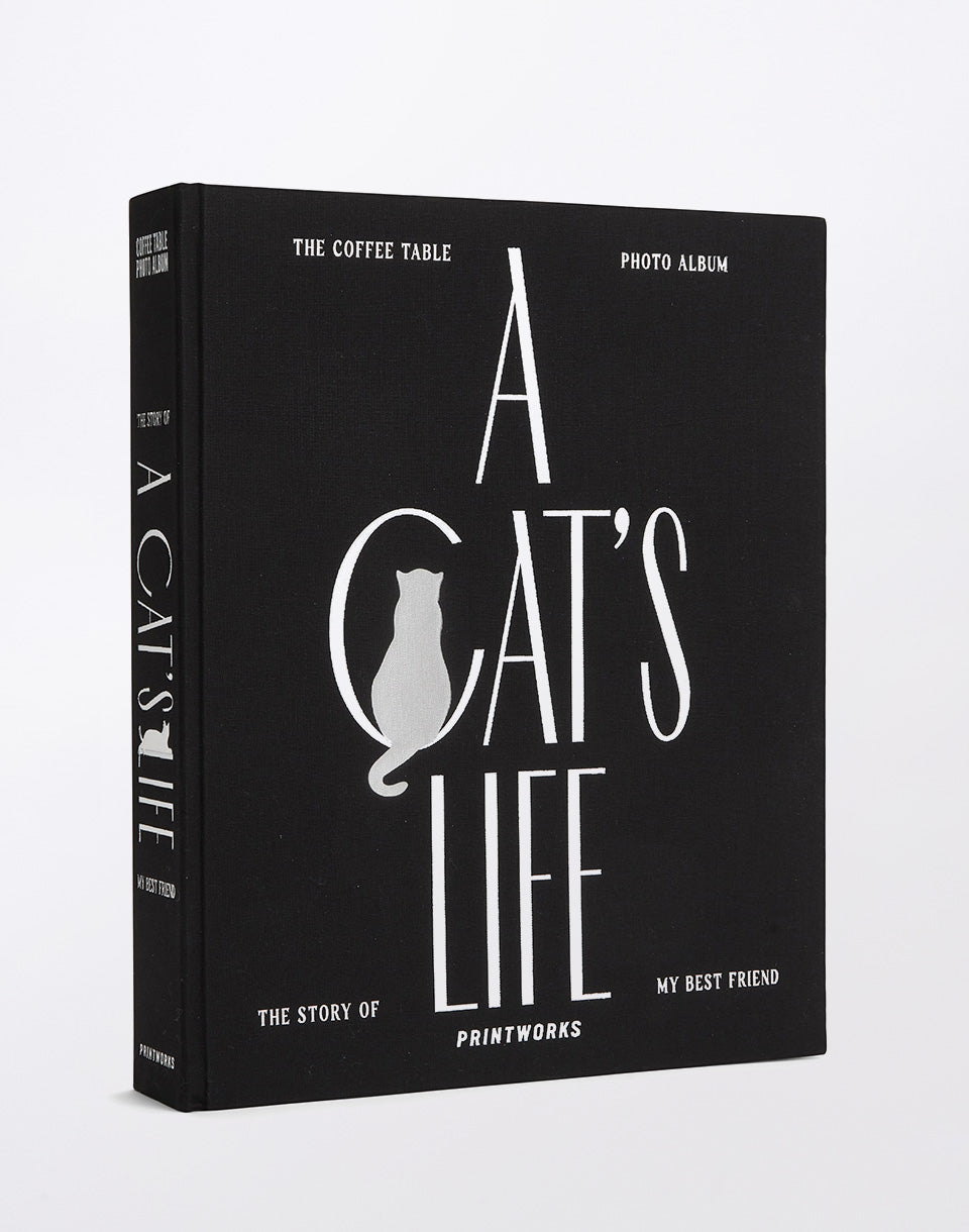 Fotoalbum - A Cat's Life