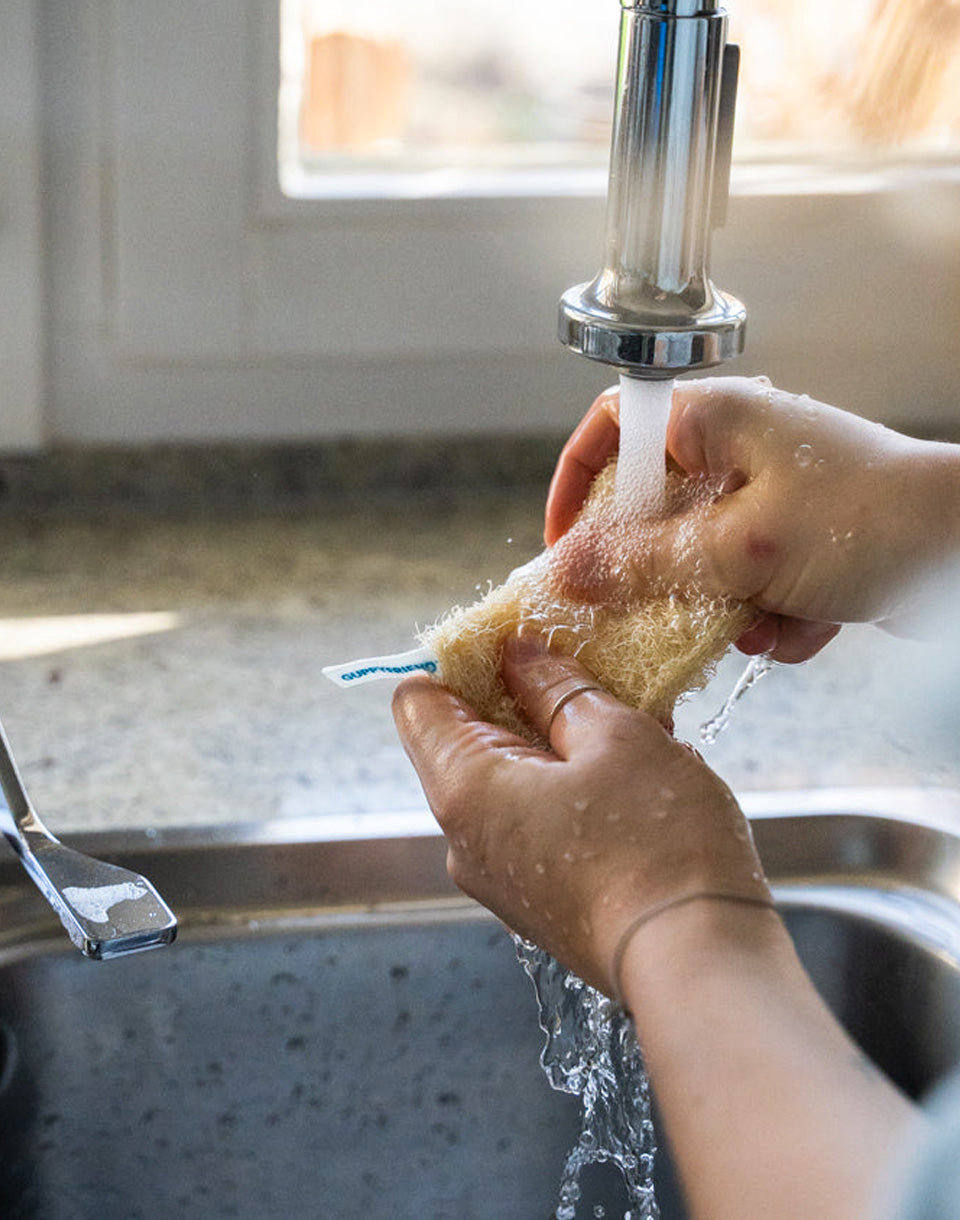 Luffa Sponges