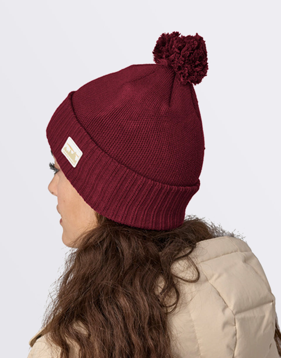 Powder Town Beanie